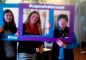 Gansbaai is going for Gold again